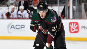 McBain signs two-year deal with Coyotes